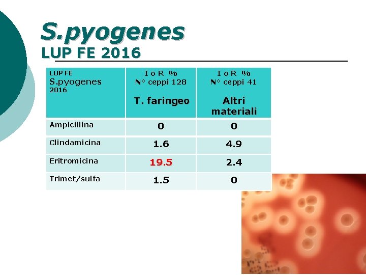 S. pyogenes LUP FE 2016 Io. R % N° ceppi 128 Io. R %