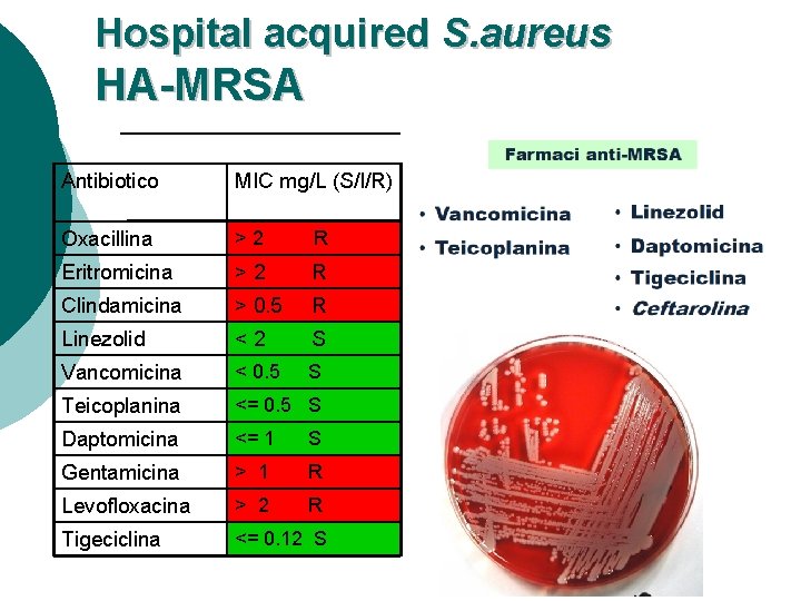 Hospital acquired S. aureus HA-MRSA Antibiotico MIC mg/L (S/I/R) Oxacillina >2 R Eritromicina >2