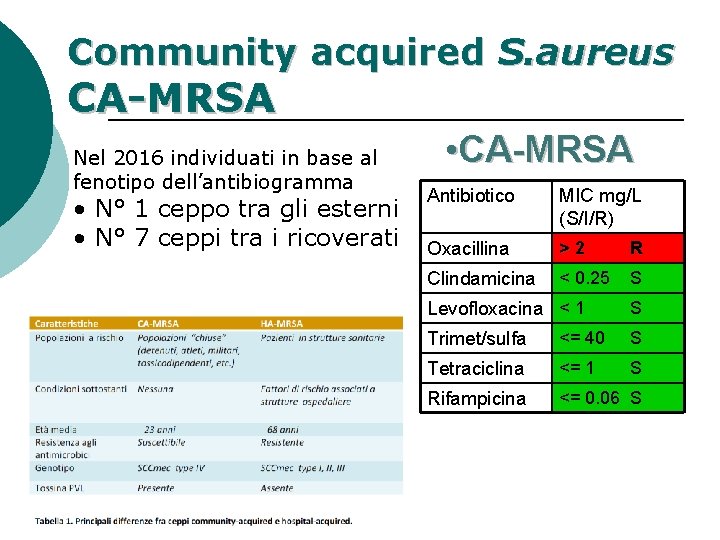 Community acquired S. aureus CA-MRSA Nel 2016 individuati in base al fenotipo dell’antibiogramma •