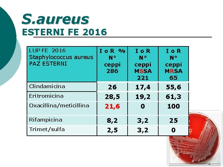 S. aureus ESTERNI FE 2016 LUP FE 2016 Io. R % N° ceppi 286