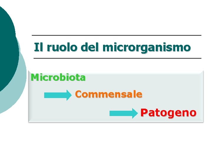 Il ruolo del microrganismo Microbiota Commensale Patogeno 