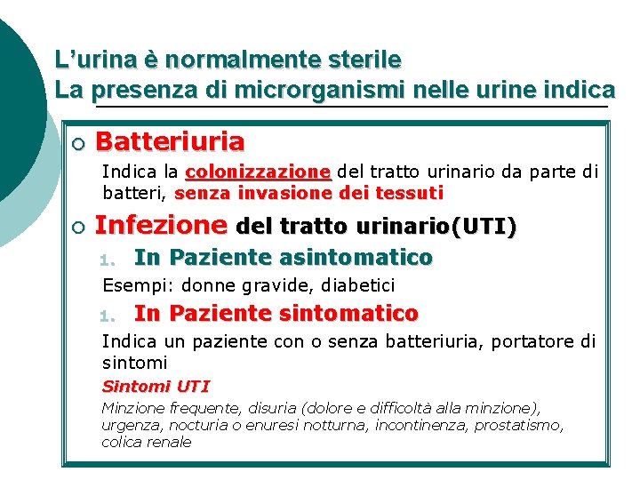 L’urina è normalmente sterile La presenza di microrganismi nelle urine indica ¡ Batteriuria Indica