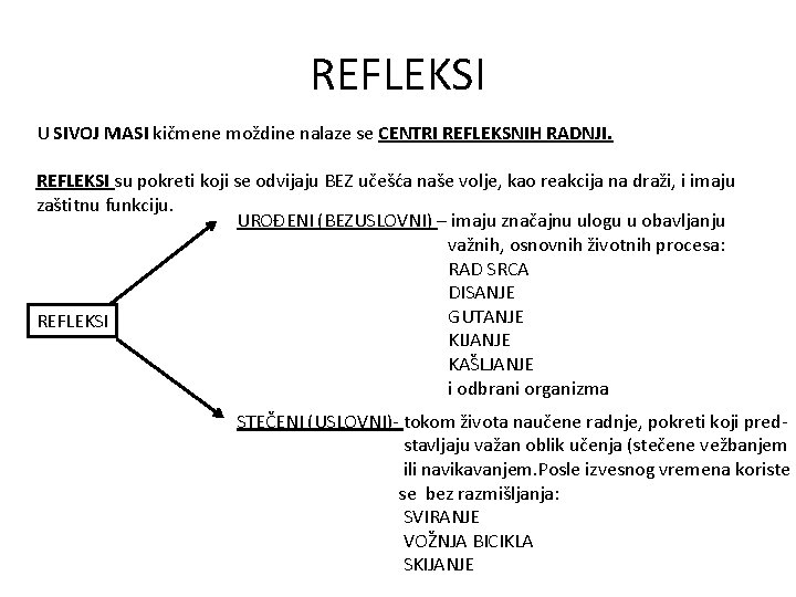 REFLEKSI U SIVOJ MASI kičmene moždine nalaze se CENTRI REFLEKSNIH RADNJI. REFLEKSI su pokreti