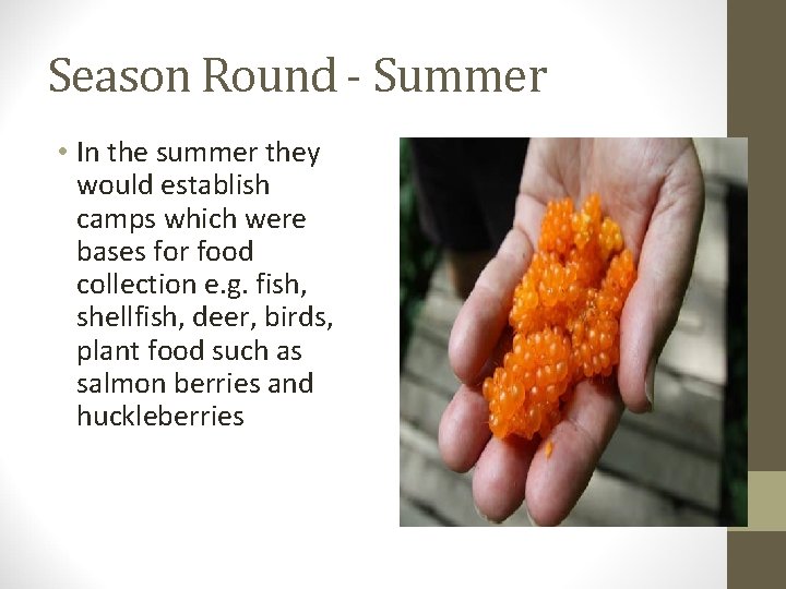 Season Round - Summer • In the summer they would establish camps which were