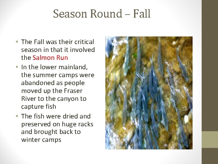 Season Round – Fall • The Fall was their critical season in that it