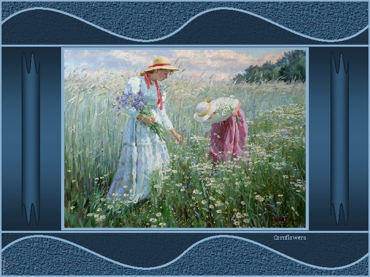 Cornflowers 