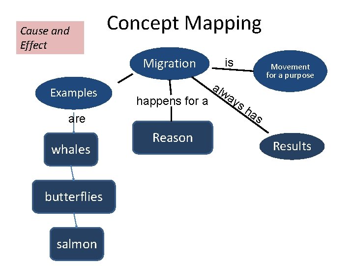 Cause and Effect Concept Mapping Migration Examples happens for a are whales butterflies salmon