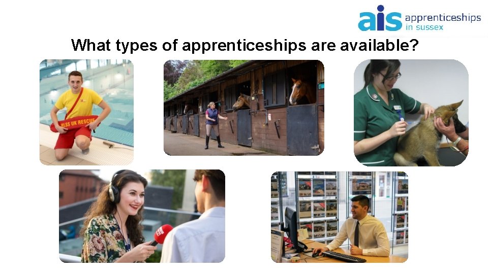 What types of apprenticeships are available? 