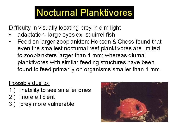 Nocturnal Planktivores Difficulty in visually locating prey in dim light • adaptation- large eyes Nocturnal Planktivores Difficulty in visually locating prey in dim light • adaptation- large eyes