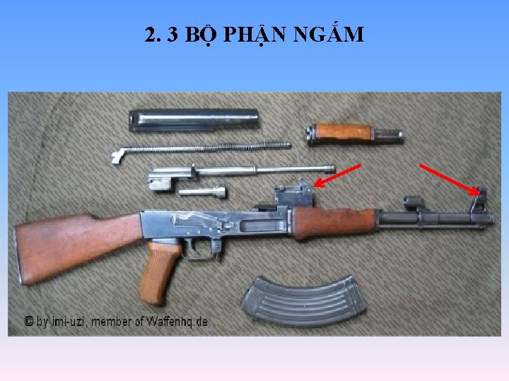 2. 3 BỘ PHẬN NGẮM 2. 3 BỘ PHẬN NGẮM