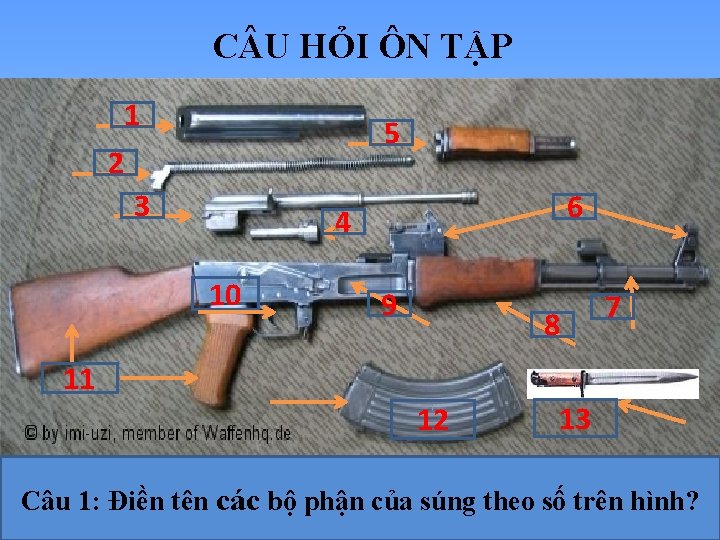 C U HỎI ÔN TẬP 1 5 2 3 6 4 10 9 8 C U HỎI ÔN TẬP 1 5 2 3 6 4 10 9 8