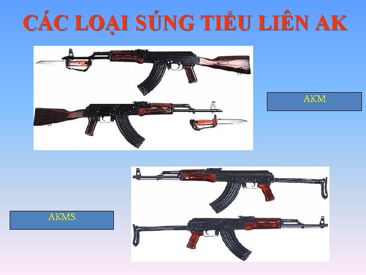 CÁC LOẠI SÚNG TIỂU LIÊN AK AKMS CÁC LOẠI SÚNG TIỂU LIÊN AK AKMS