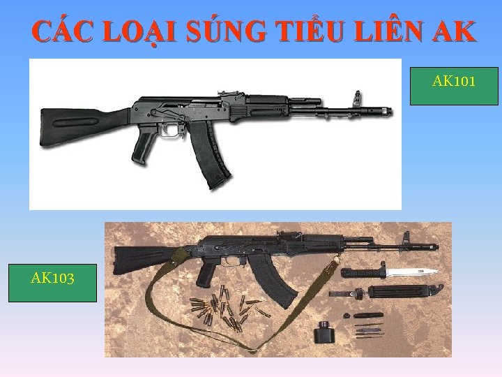 CÁC LOẠI SÚNG TIỂU LIÊN AK AK 101 AK 103 CÁC LOẠI SÚNG TIỂU LIÊN AK AK 101 AK 103