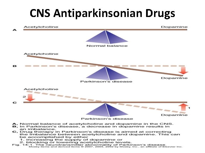 CNS Antiparkinsonian Drugs 