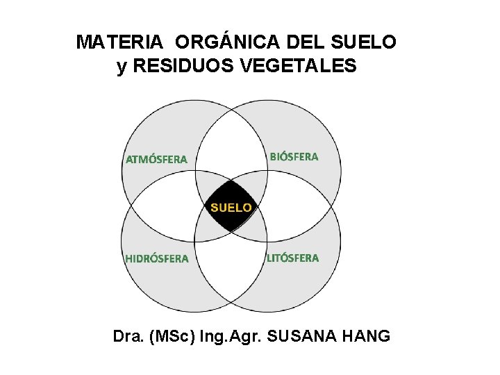 MATERIA ORGÁNICA DEL SUELO y RESIDUOS VEGETALES Dra. (MSc) Ing. Agr. SUSANA HANG 