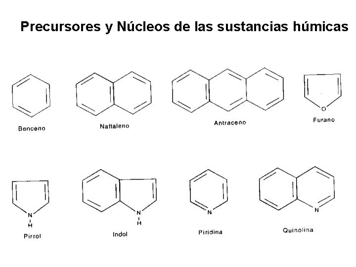 Precursores y Núcleos de las sustancias húmicas 