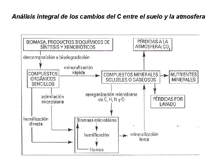 Análisis integral de los cambios del C entre el suelo y la atmosfera 