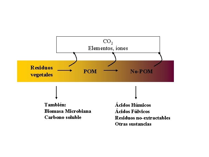 CO 2 Elementos, iones Residuos vegetales POM También: Biomasa Microbiana Carbono soluble No-POM Ácidos