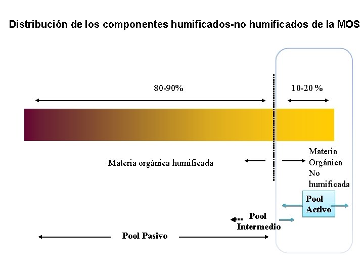 Distribución de los componentes humificados-no humificados de la MOS 80 -90% 10 -20 %