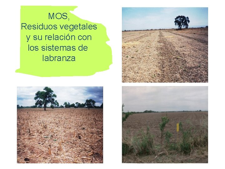 MOS, Residuos vegetales y su relación con los sistemas de labranza 