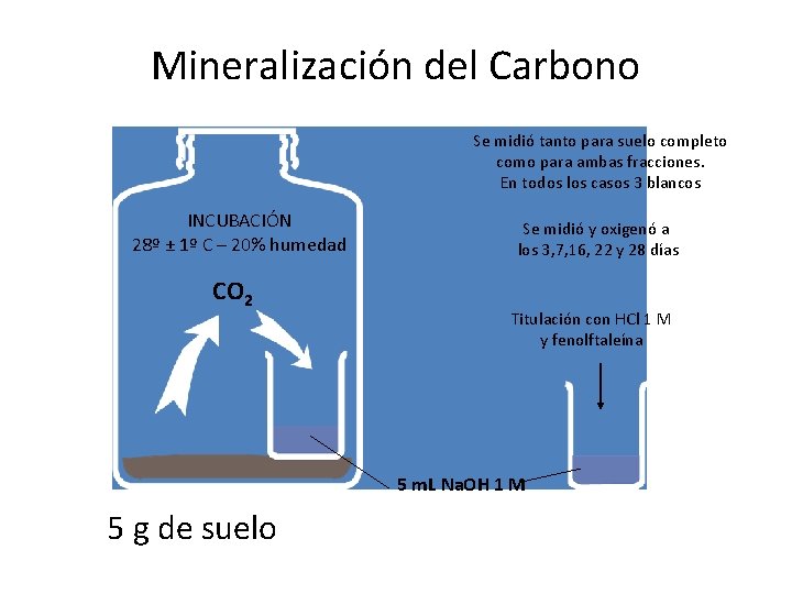 Mineralización del Carbono Se midió tanto para suelo completo como para ambas fracciones. En