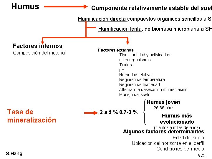 Humus Componente relativamente estable del suel Humificación directa compuestos orgánicos sencillos a SH Humificación