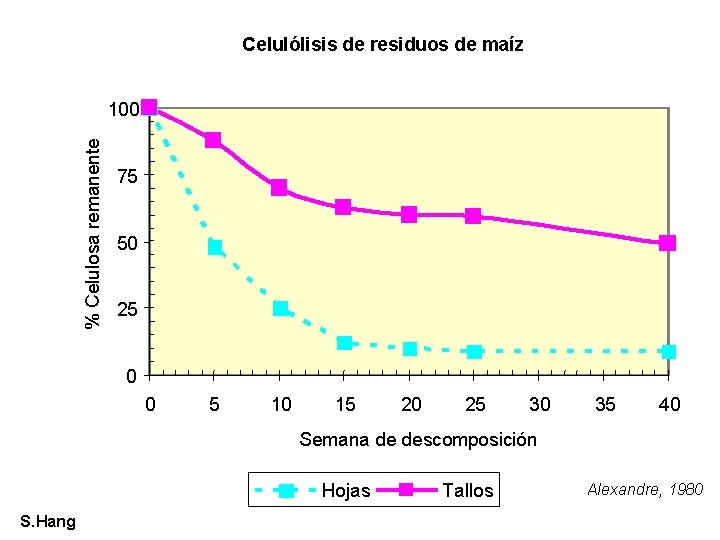 Celulólisis de residuos de maíz % Celulosa remanente 100 75 50 25 0 0