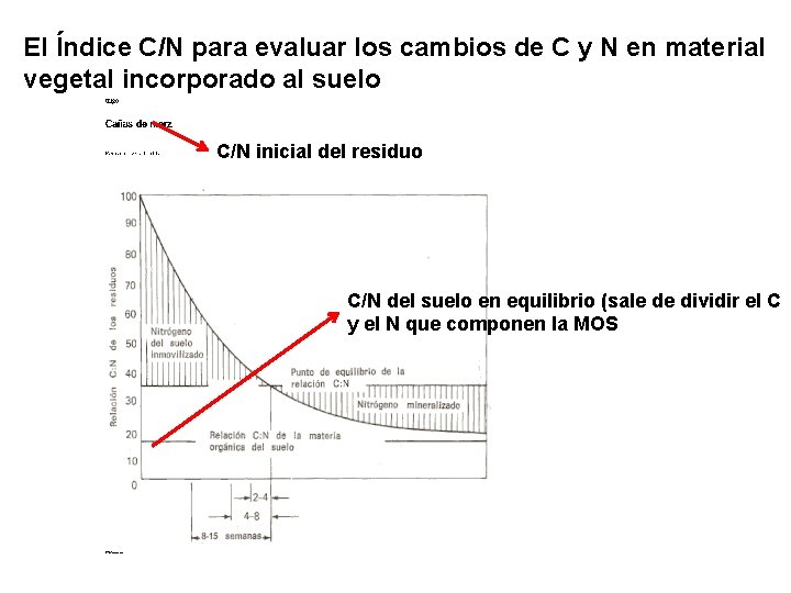 El Índice C/N para evaluar los cambios de C y N en material vegetal