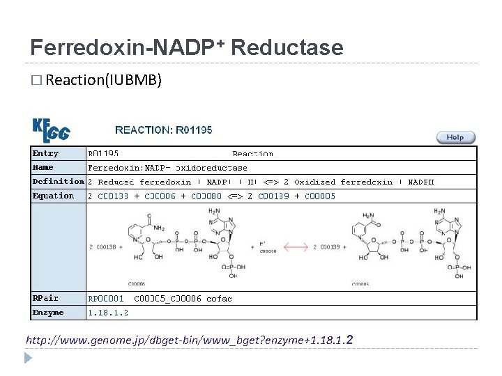 Ferredoxin-NADP+ Reductase � Reaction(IUBMB) http: //www. genome. jp/dbget-bin/www_bget? enzyme+1. 18. 1. 2 