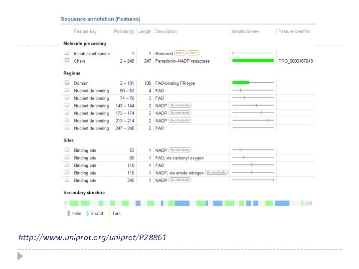 http: //www. uniprot. org/uniprot/P 28861 