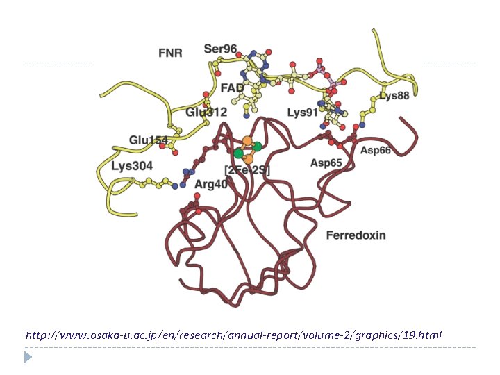 http: //www. osaka-u. ac. jp/en/research/annual-report/volume-2/graphics/19. html 