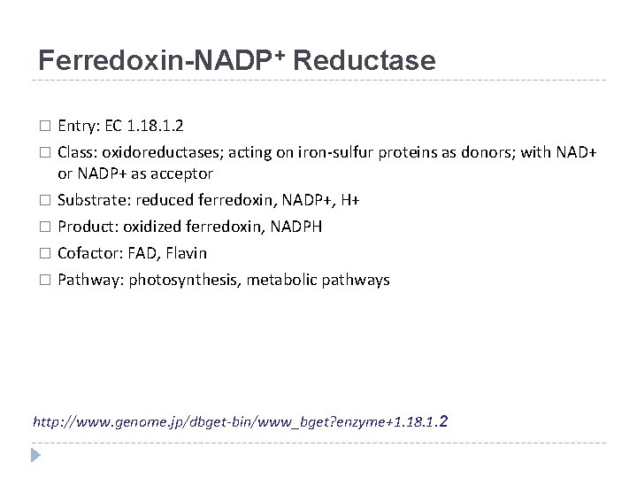 Ferredoxin-NADP+ Reductase Entry: EC 1. 18. 1. 2 � Class: oxidoreductases; acting on iron-sulfur