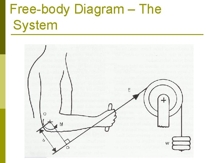 Free-body Diagram – The System 