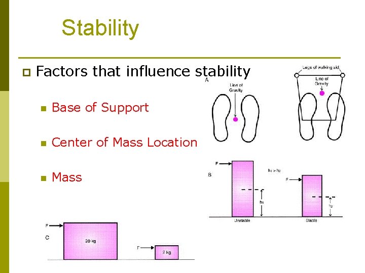 Stability p Factors that influence stability n Base of Support n Center of Mass