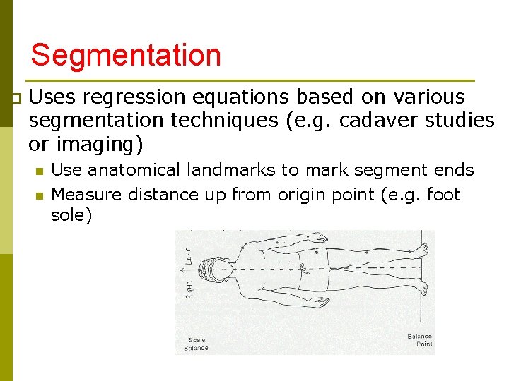 Segmentation p Uses regression equations based on various segmentation techniques (e. g. cadaver studies