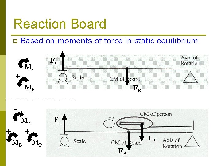 Reaction Board p Based on moments of force in static equilibrium -+ Ms MB