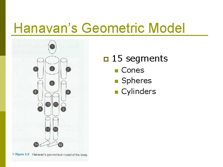 Hanavan’s Geometric Model p 15 segments n n n Cones Spheres Cylinders 