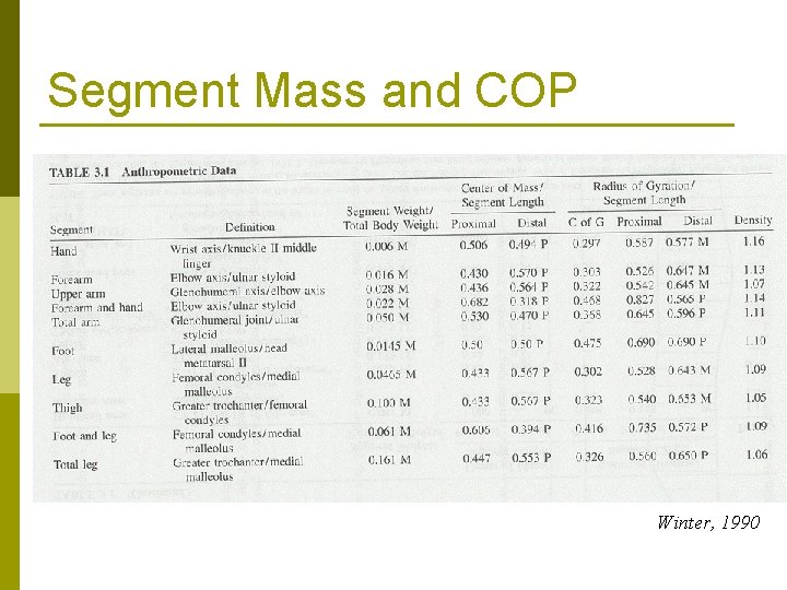 Segment Mass and COP Winter, 1990 