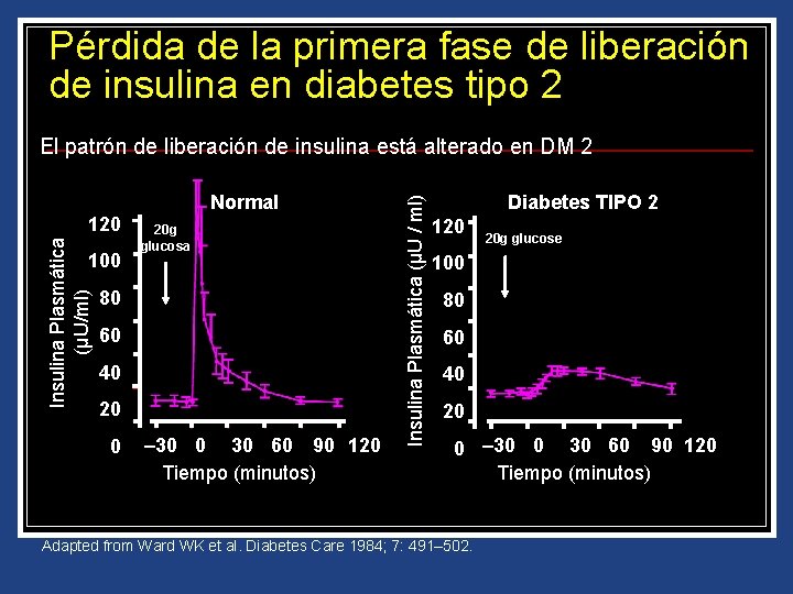Pérdida de la primera fase de liberación de insulina en diabetes tipo 2 Insulina