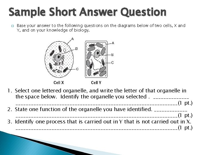 Sample Short Answer Question � Base your answer to the following questions on the