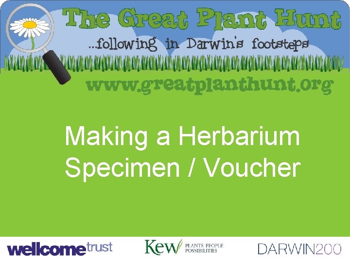 Making a Herbarium Specimen / Voucher 