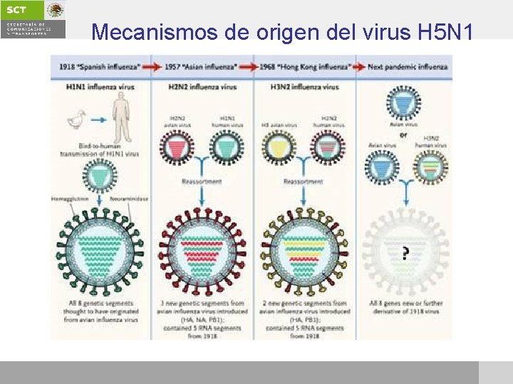 Mecanismos de origen del virus H 5 N 1 
