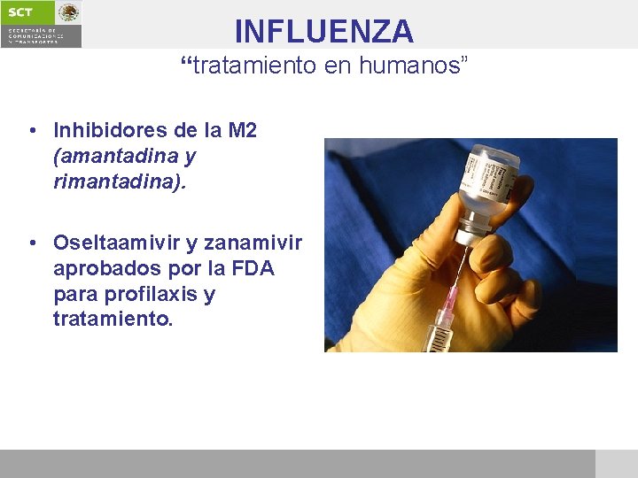 INFLUENZA “tratamiento en humanos” • Inhibidores de la M 2 (amantadina y rimantadina). •