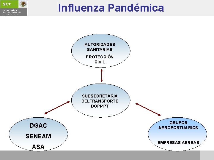 Influenza Pandémica AUTORIDADES SANITARIAS PROTECCIÓN CIVIL SUBSECRETARIA DELTRANSPORTE DGPMPT DGAC GRUPOS AEROPORTUARIOS SENEAM ASA