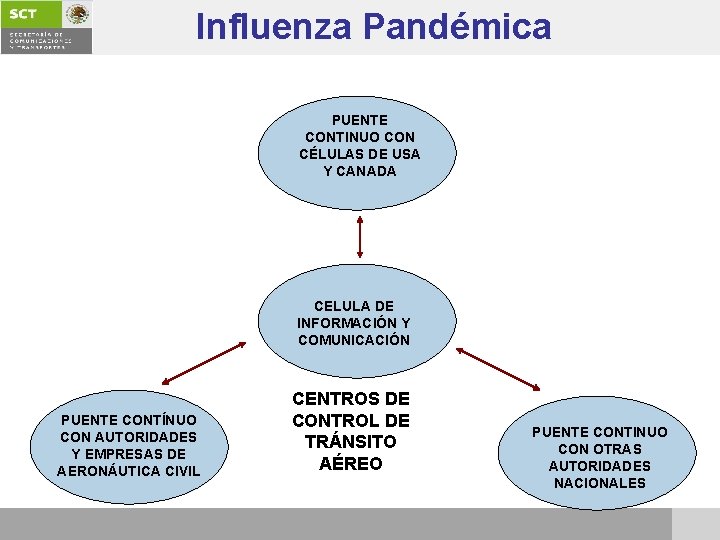 Influenza Pandémica PUENTE CONTINUO CON CÉLULAS DE USA Y CANADA CELULA DE INFORMACIÓN Y