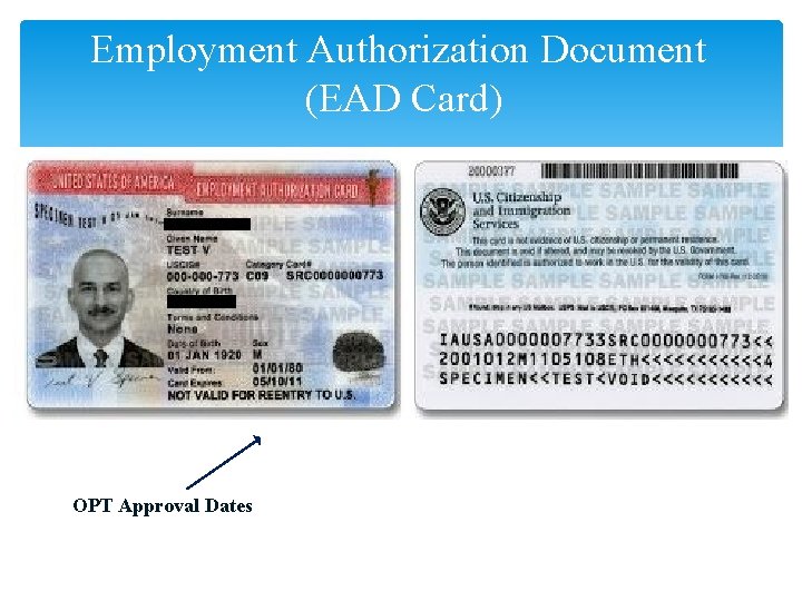 Employment Authorization Document (EAD Card) OPT Approval Dates 