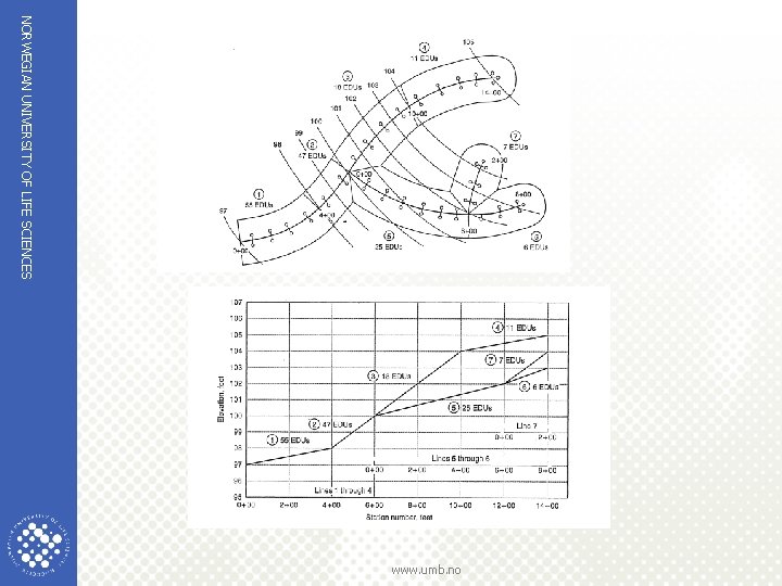 NORWEGIAN UNIVERSITY OF LIFE SCIENCES www. umb. no 