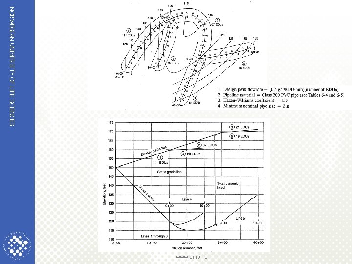 NORWEGIAN UNIVERSITY OF LIFE SCIENCES www. umb. no 