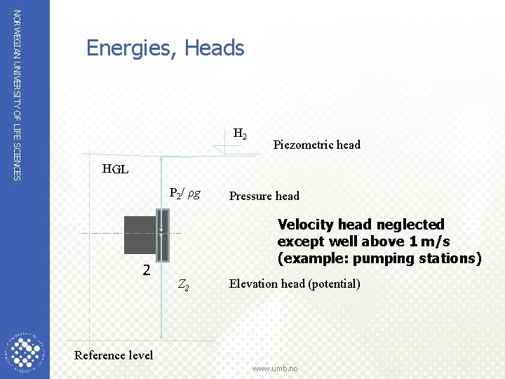 NORWEGIAN UNIVERSITY OF LIFE SCIENCES Energies, Heads H 2 Piezometric head HGL P 2/