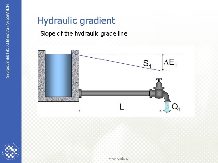 NORWEGIAN UNIVERSITY OF LIFE SCIENCES Hydraulic gradient Slope of the hydraulic grade line www.